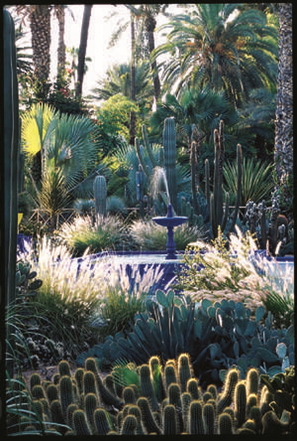 Jardin Majorelle