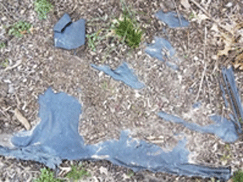 Exposed Weed Fabric