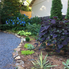 Deeper Planting Beds