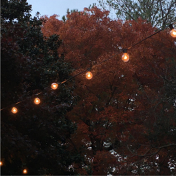 Hung lights