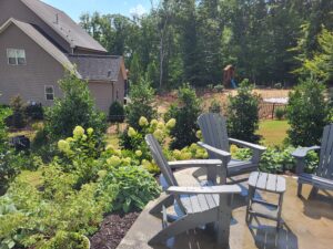 Landsaping Around Patio