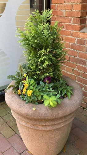 Adding various colored flowers to winter plantings adds interest
