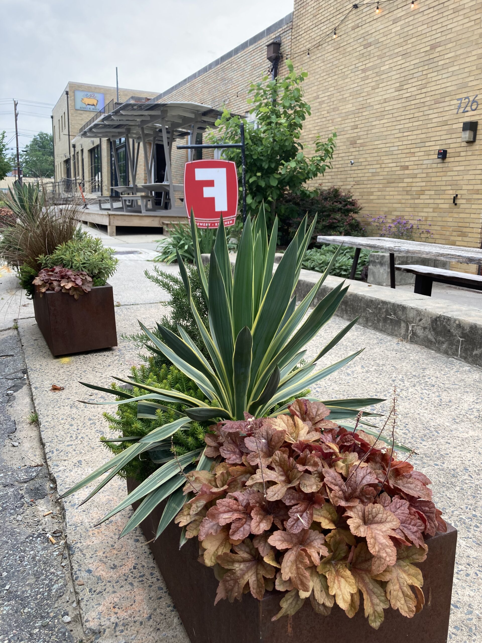 Container Plant Installation Restaurant Patio