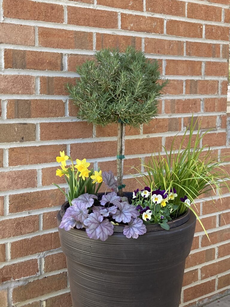 One example of our residential container plantings.