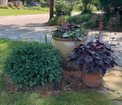 This container is next to shrubs and a driveway.